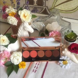 Dose Of Colors🍊Sassy Sienna Palette BNIB💯auth